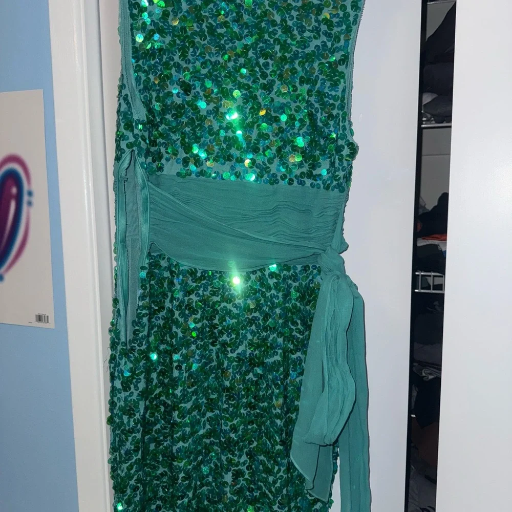 Elegant Green Sequin Dress - Picture 5 of 5